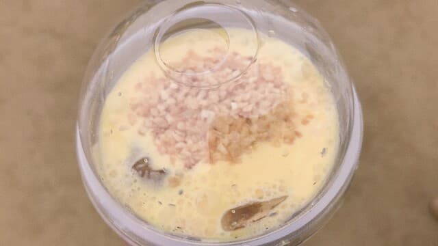 アィンちゃん
