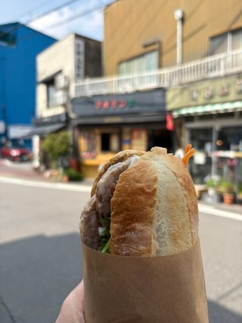 Vietnam Sandwich Aosuns