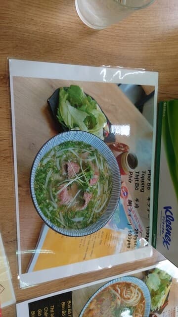 Hello Việt Nam